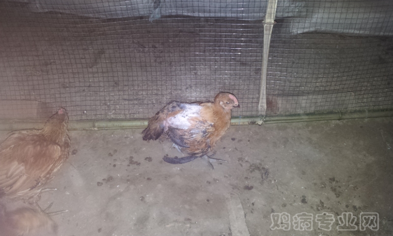 20120528_225727.jpg