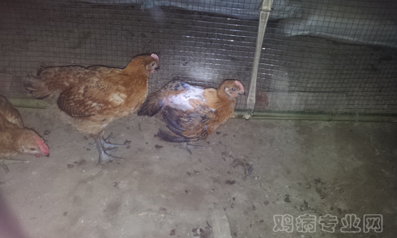 20120528_225803.jpg