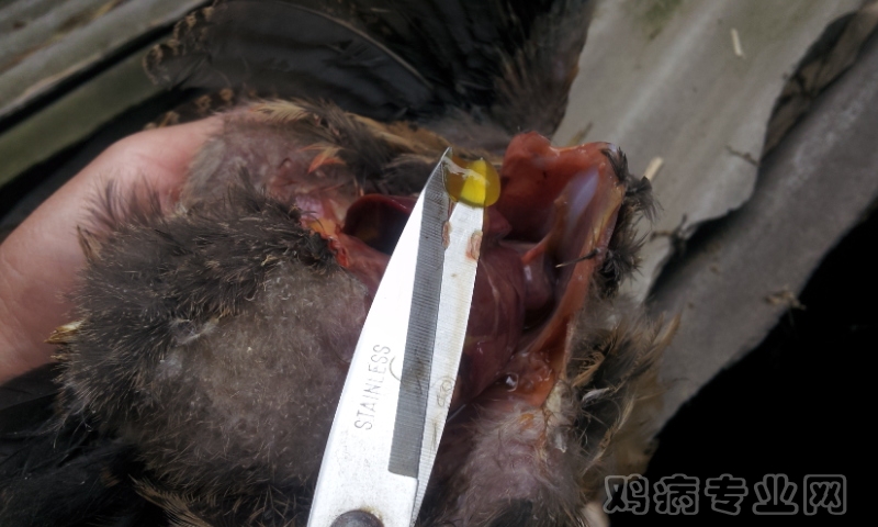 20120522_110124.jpg