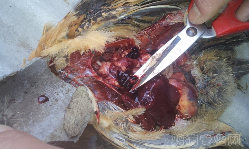 20120527_082132.jpg