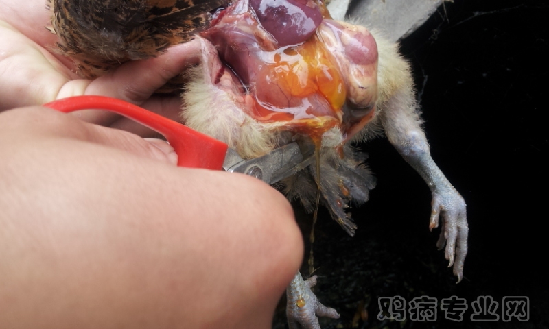 20120522_110002.jpg