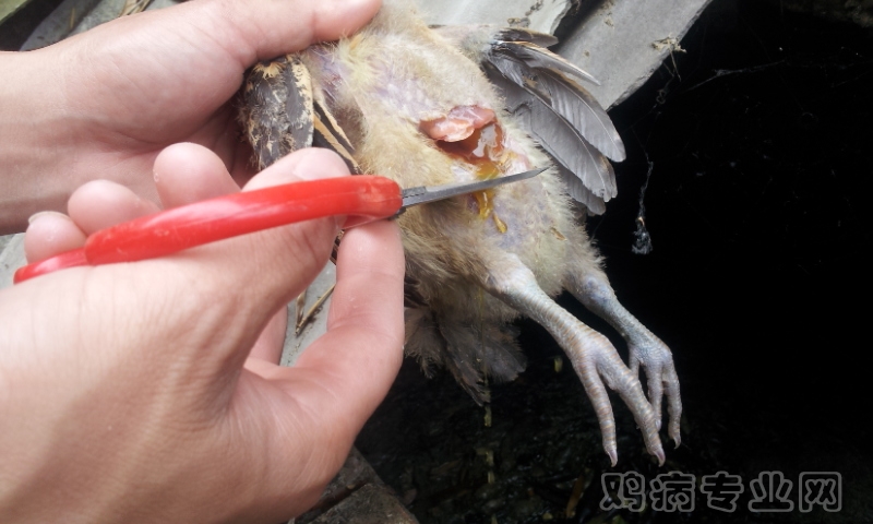 20120522_105927.jpg