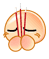55.gif