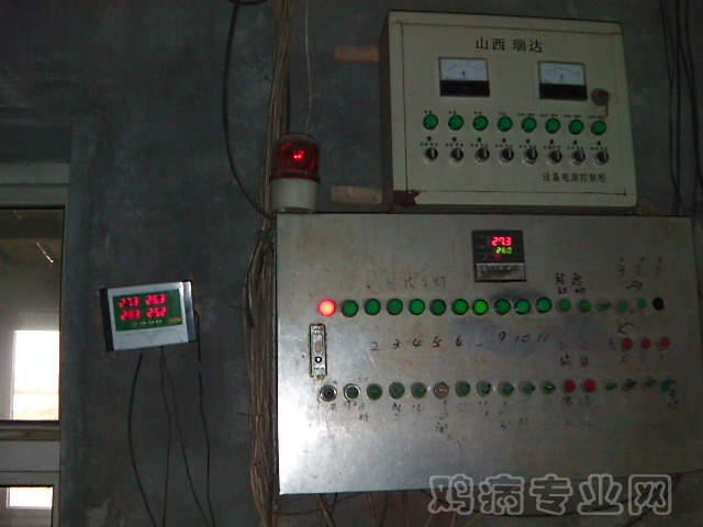 IMGA0212.JPG