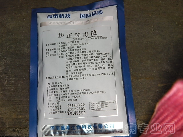 IMGA0213.JPG