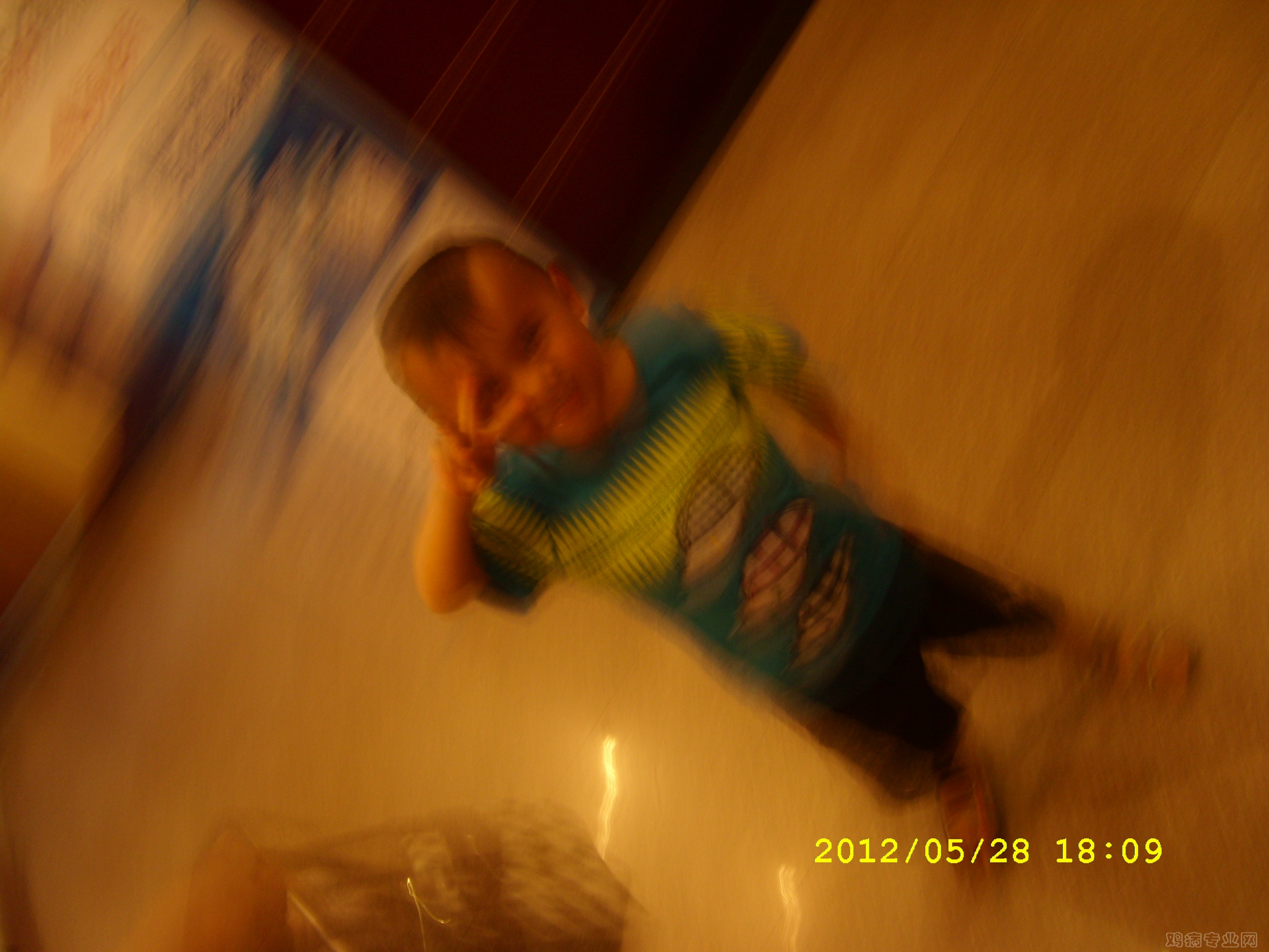 SL279288.JPG