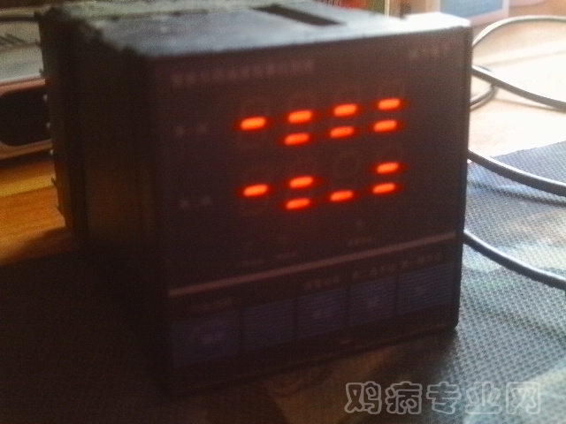 IMAG0006.JPG