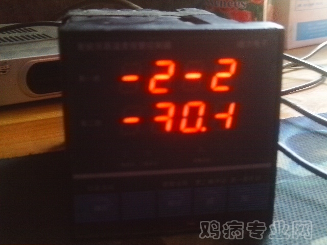 IMAG0008.JPG