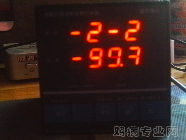 33.3