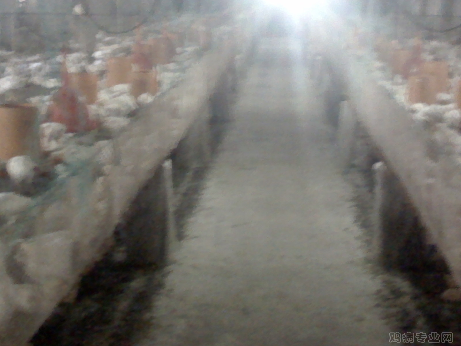 IMG00037.jpg