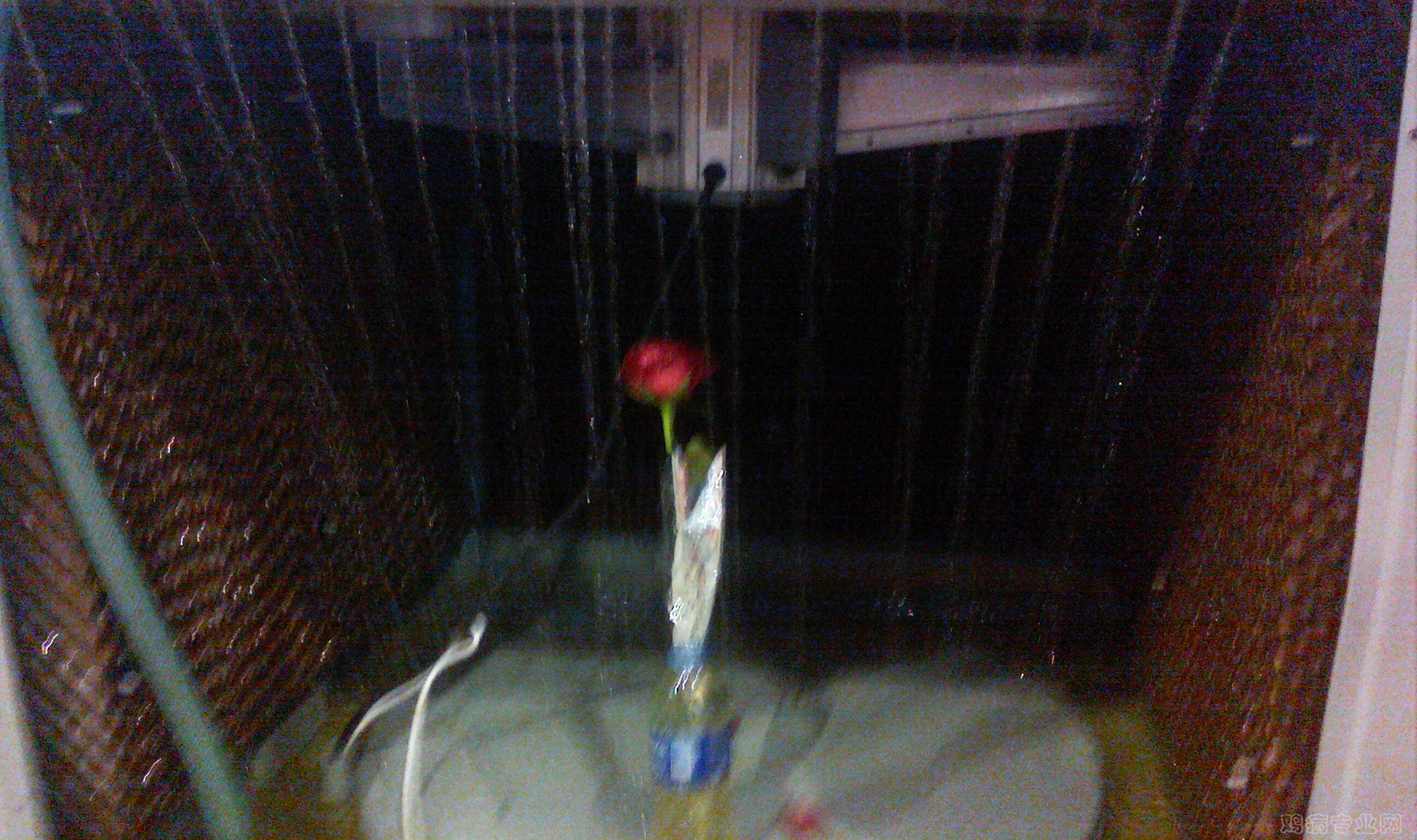IMG0519104301.jpg