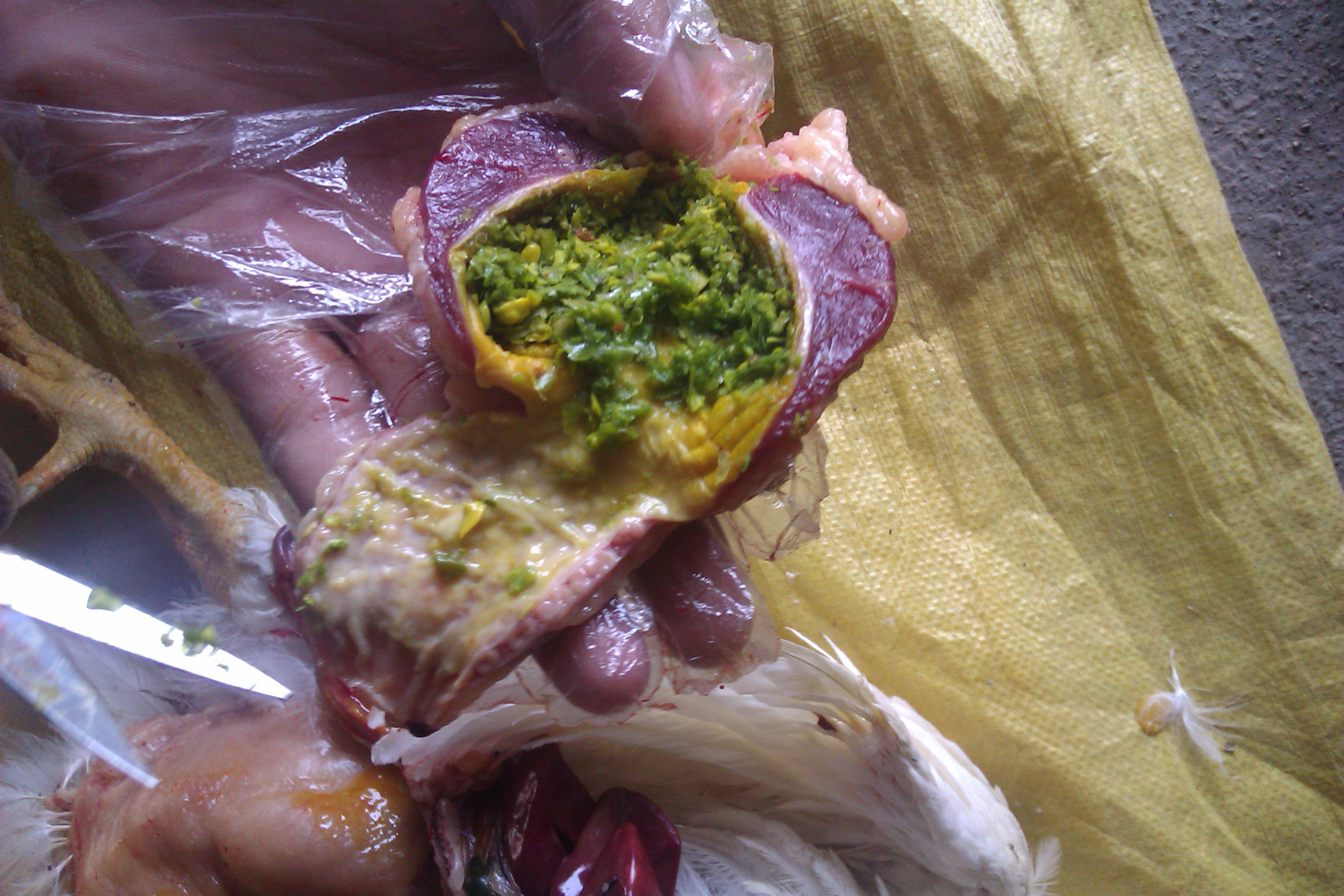 IMAG0158.jpg