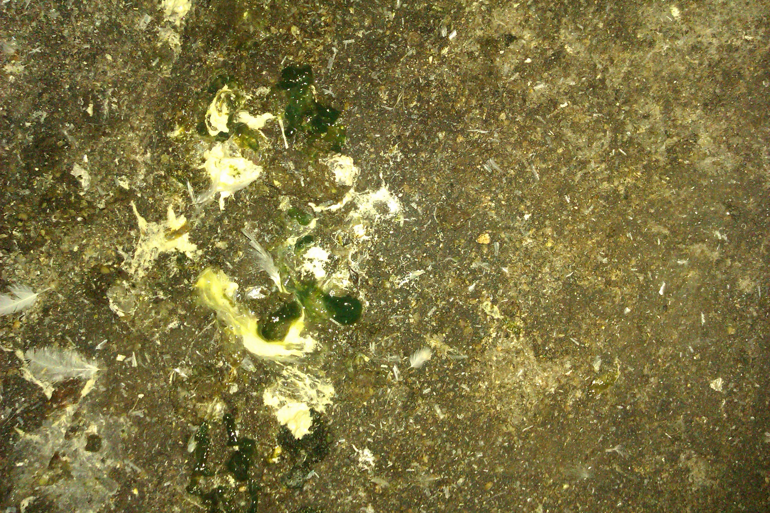 IMAG0137.jpg