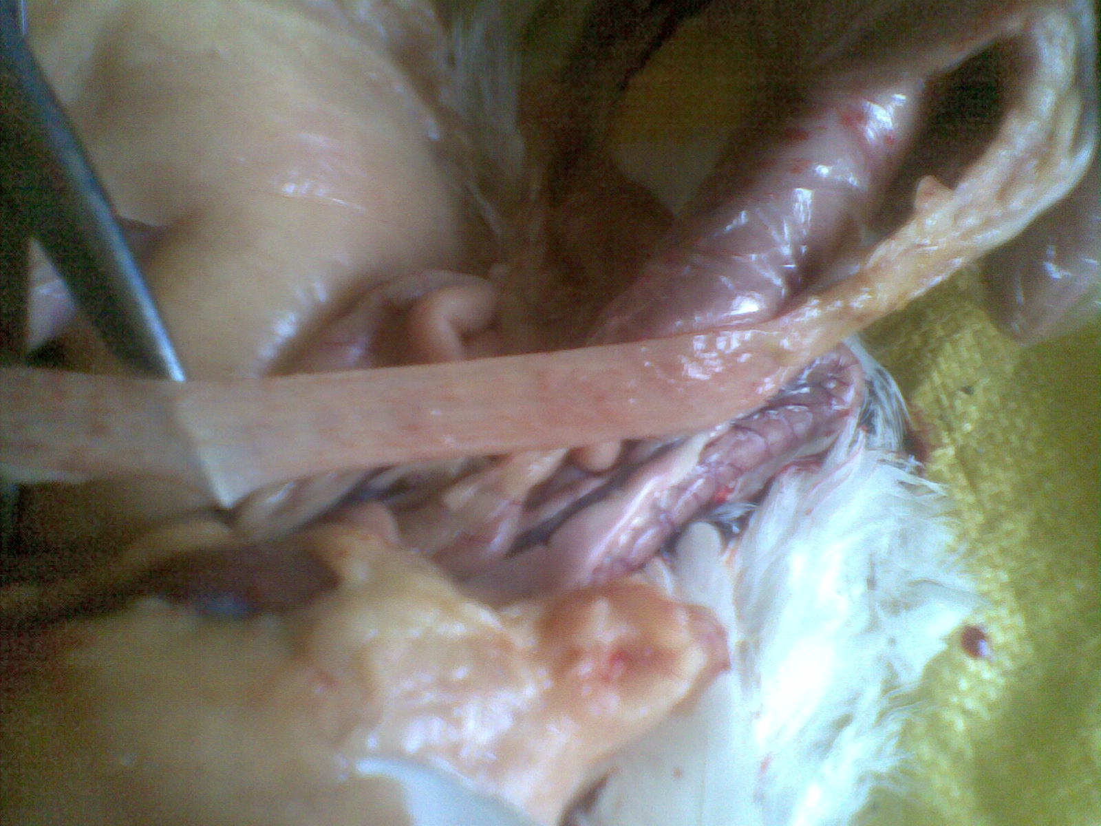 20120524(004).jpg