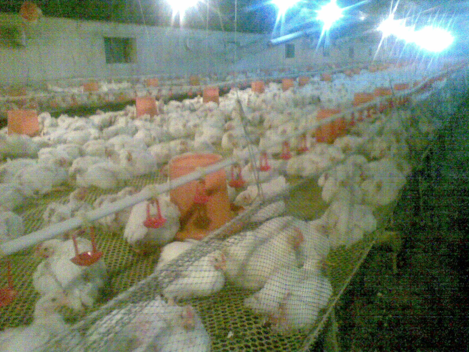 20120318.jpg