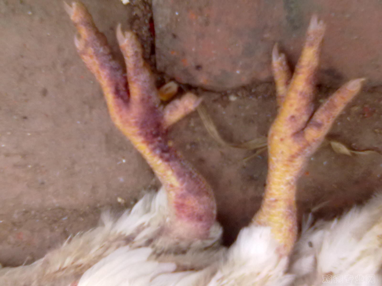 20120530286.jpg