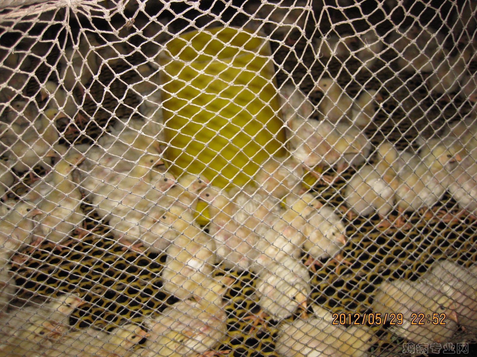 IMG_6168.JPG