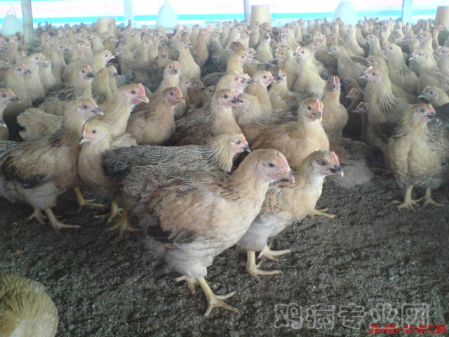 Сʮ