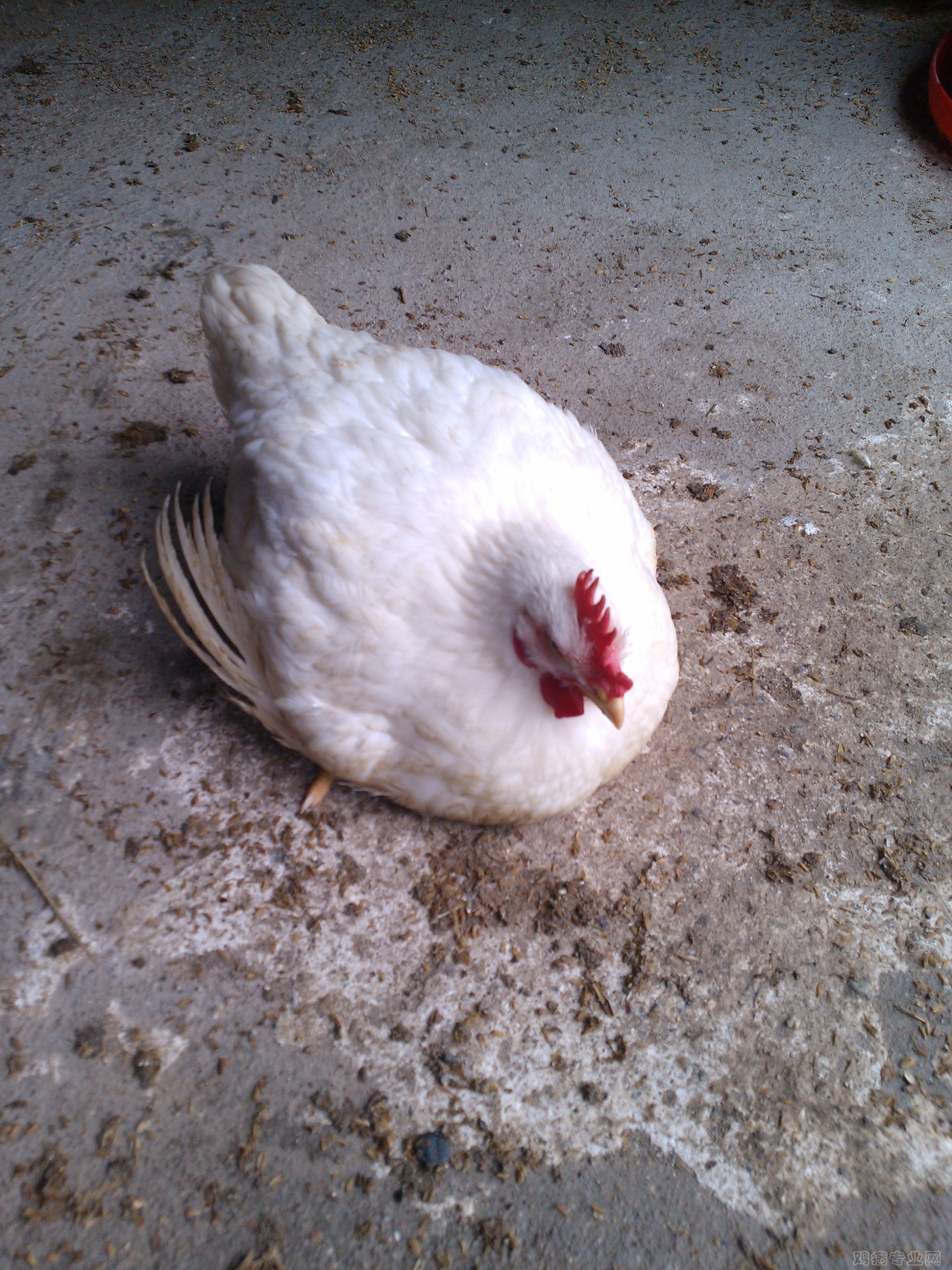 IMG20120515100752.jpg