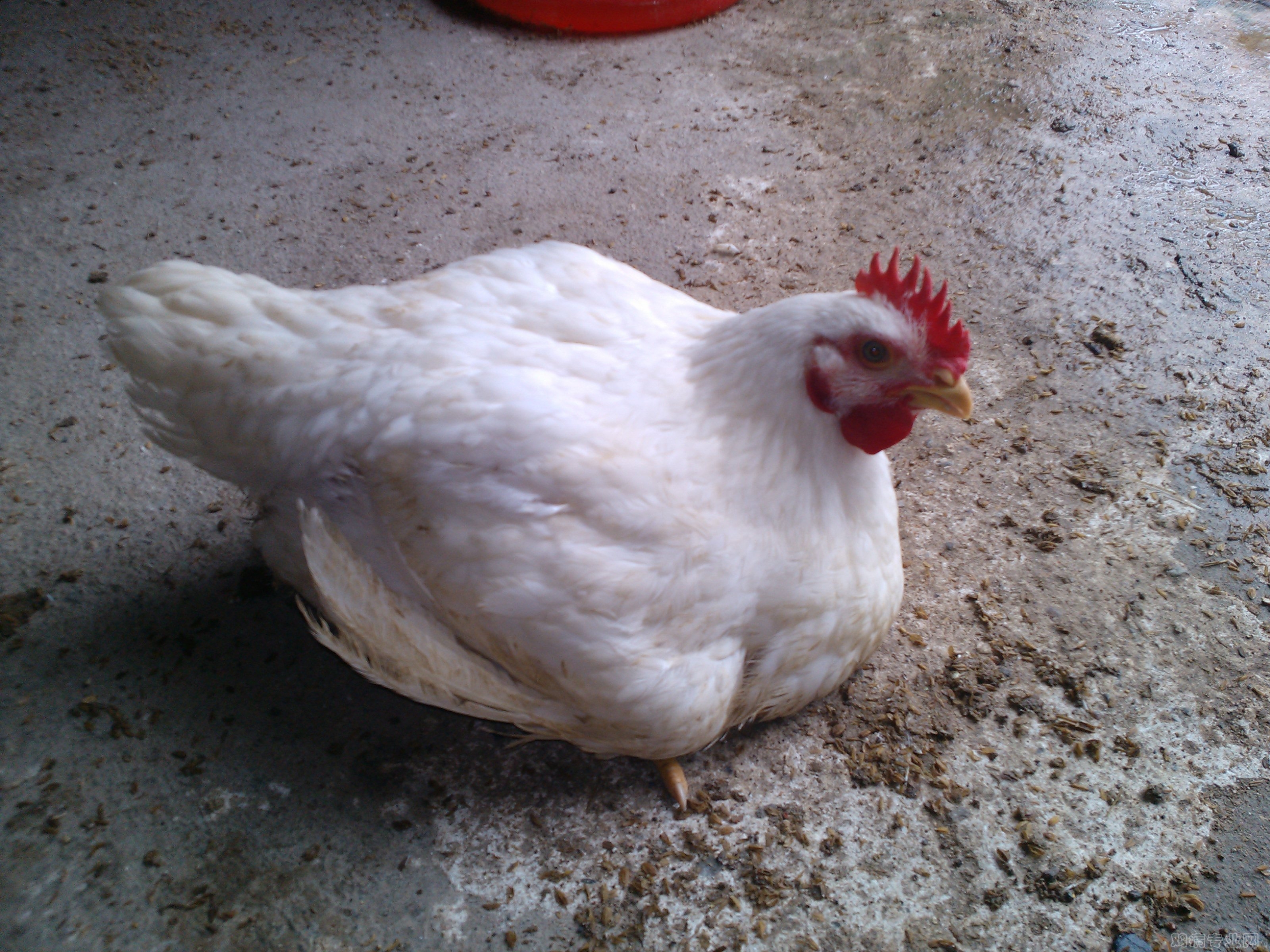IMG20120515100642.jpg