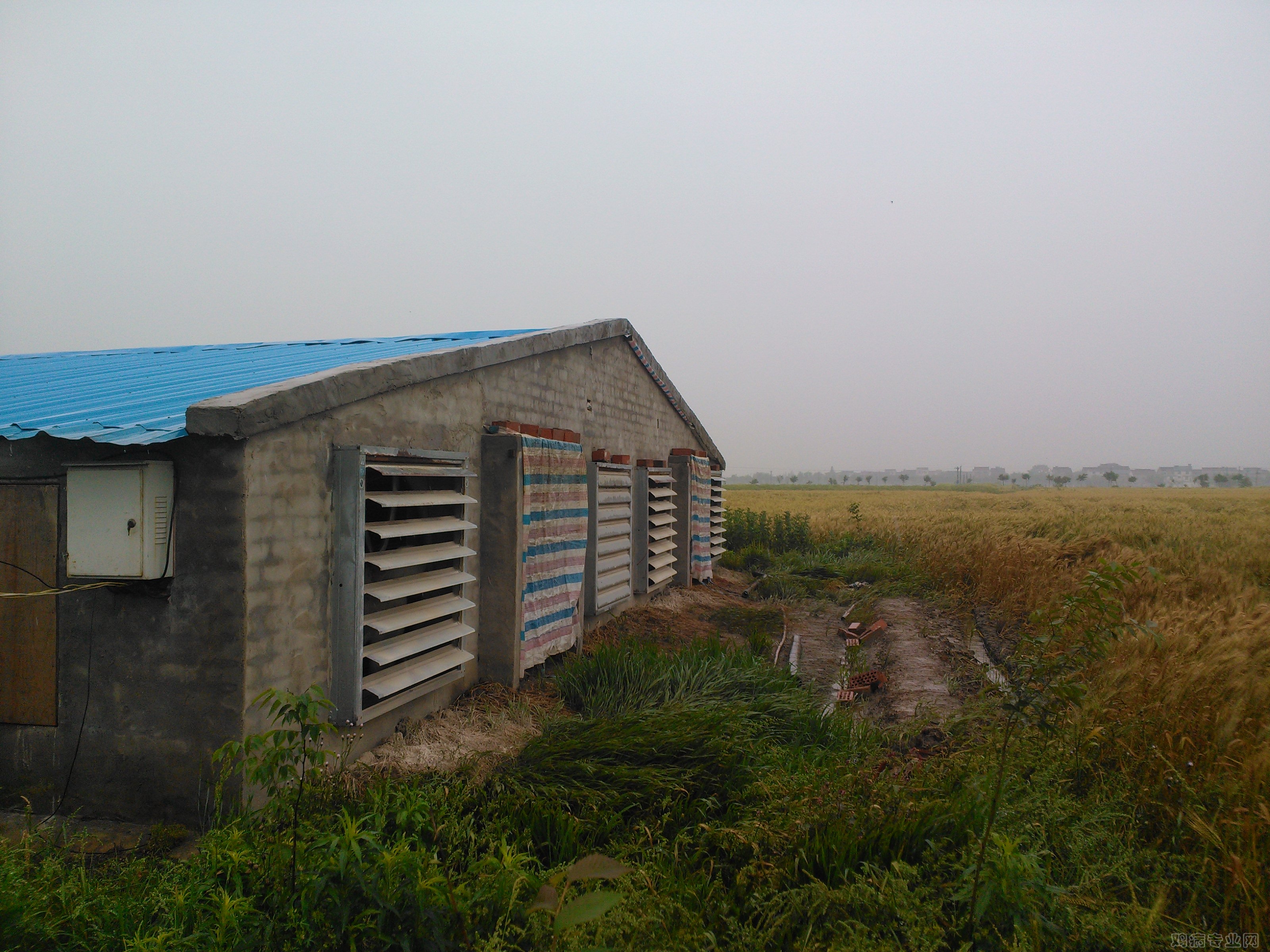 IMG20120515101828.jpg