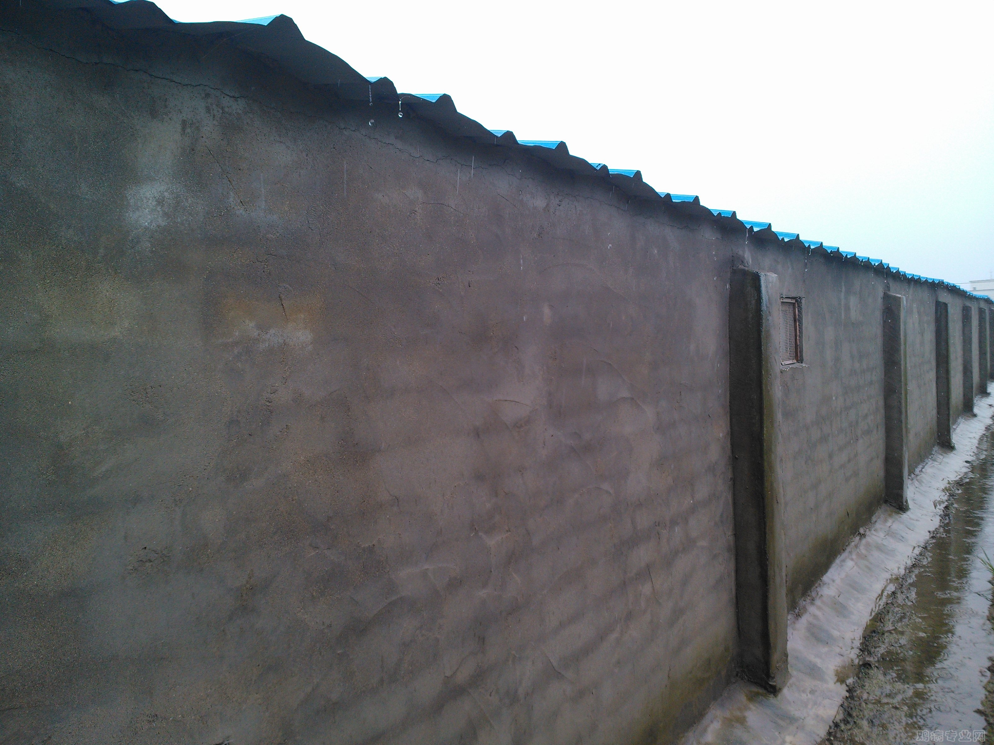 IMG20120515101046.jpg