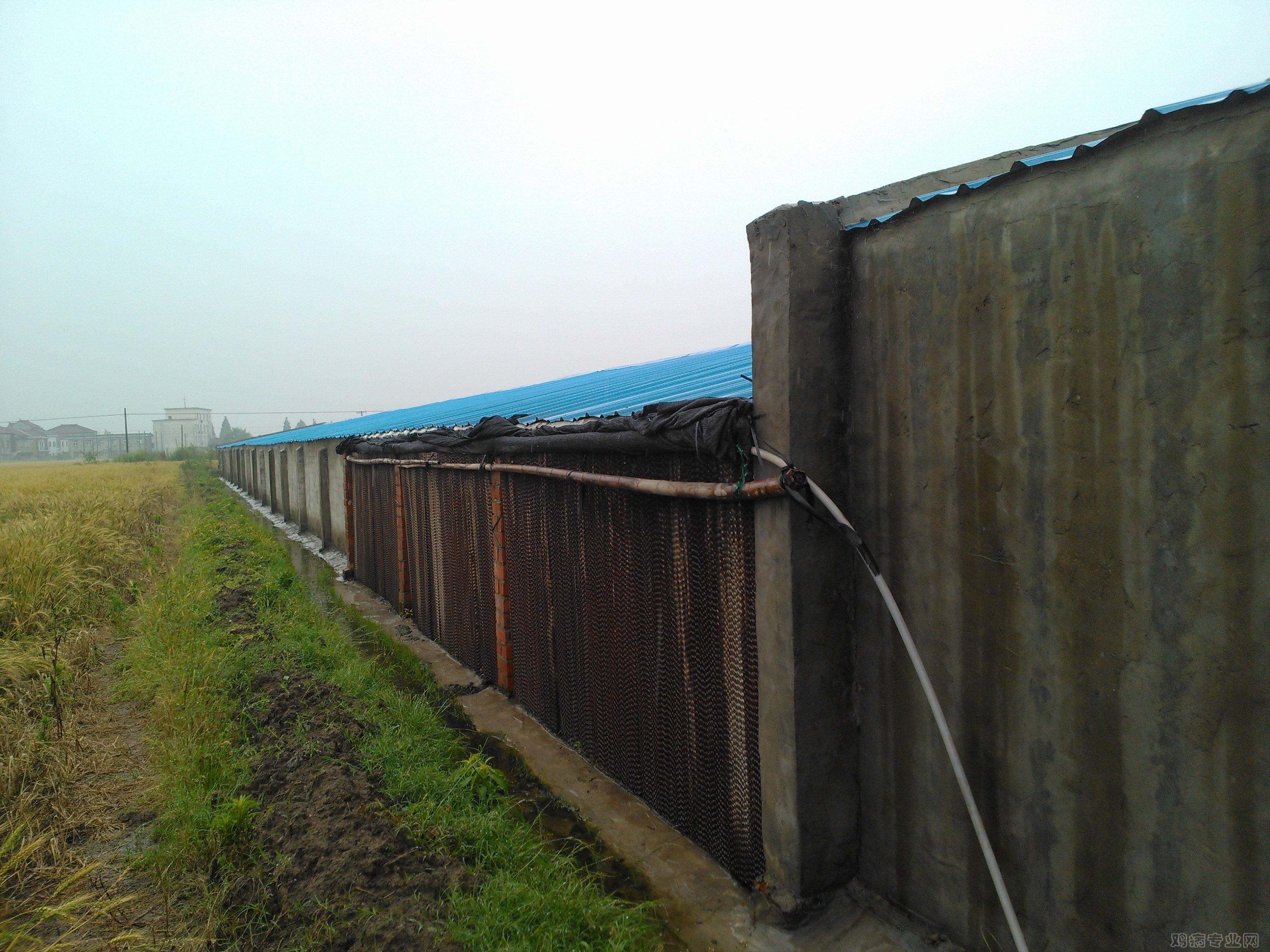 IMG20120515101309.jpg