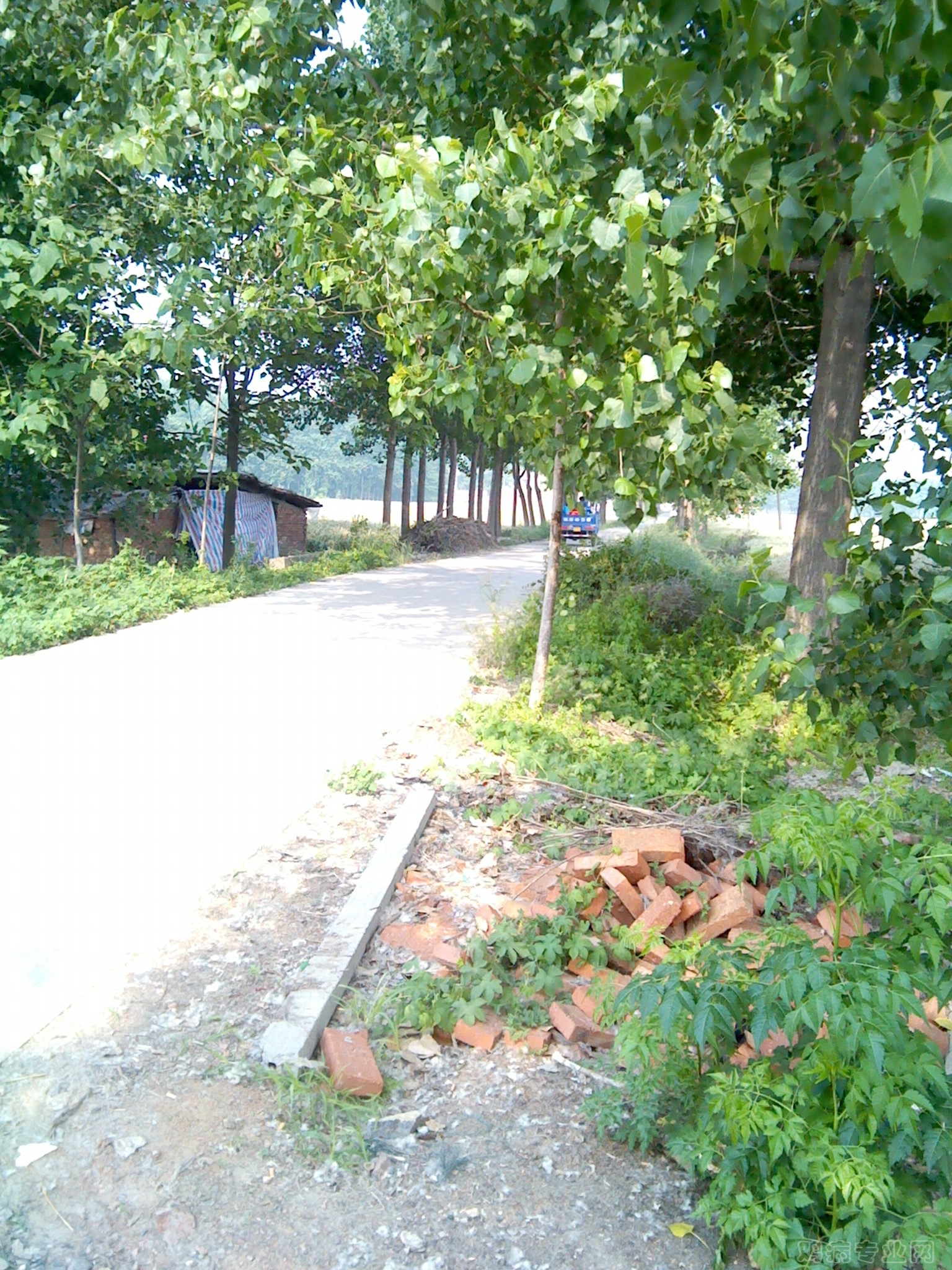IMG_20120523_081908.jpg