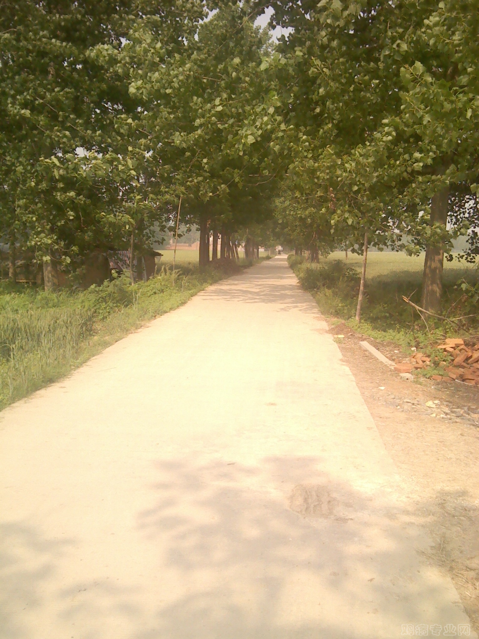 IMG_20120511_090513.jpg
