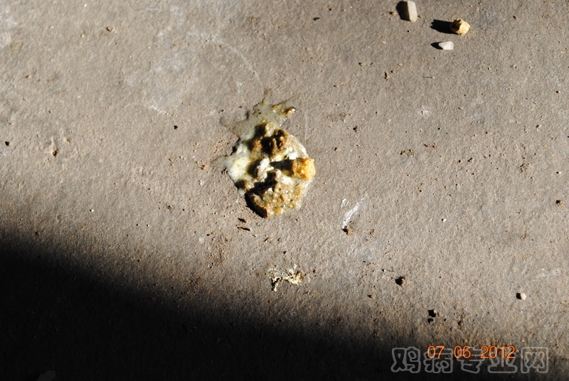 DSC_0127.jpg