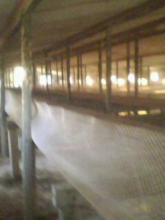 IMG0338A.jpg