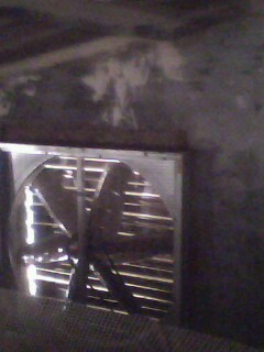 IMG0358A.jpg