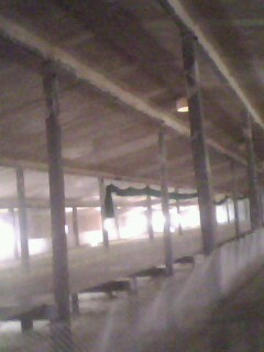 IMG0357A.jpg