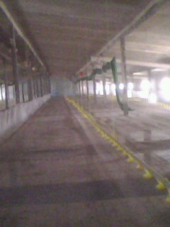 IMG0356A.jpg