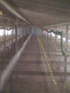 IMG0360A.jpg