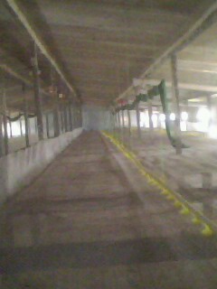 IMG0355A.jpg
