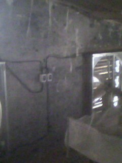 IMG0359A.jpg