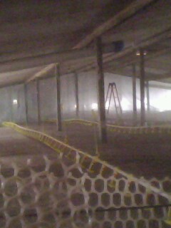 IMG0353A.jpg