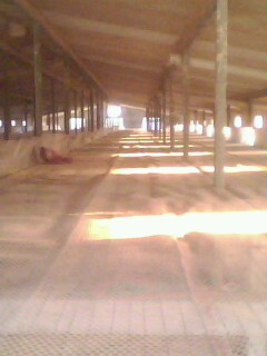IMG0340A.jpg