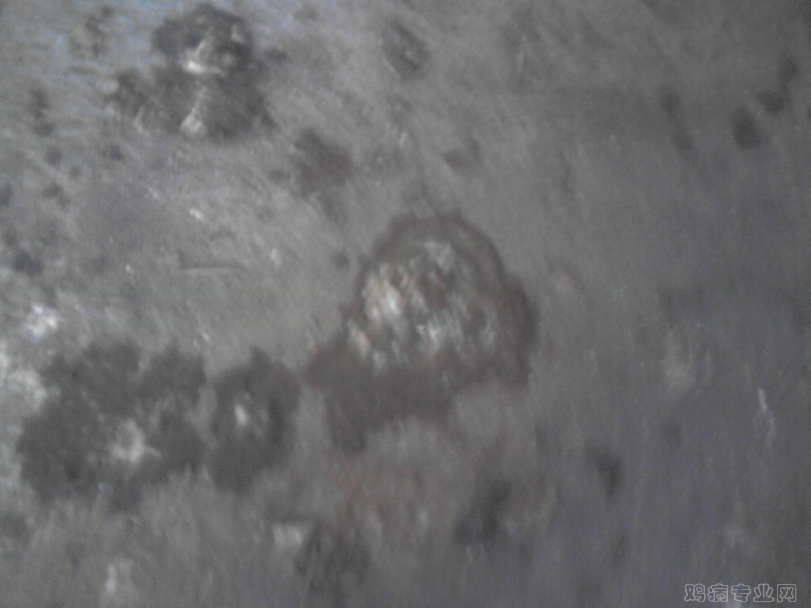 P180612_13.37_[01].jpg