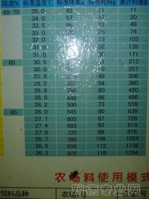 006.JPG