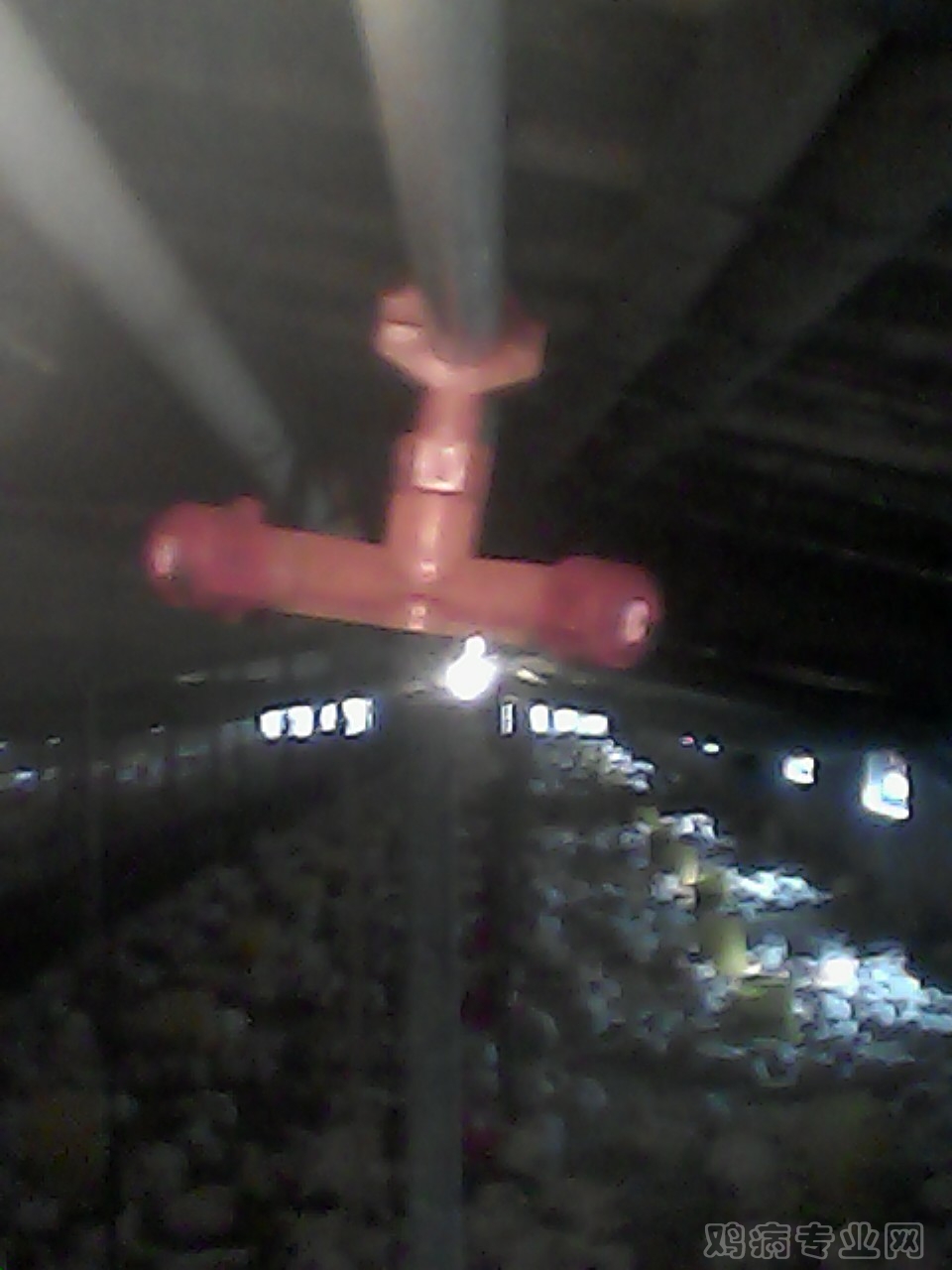 img005.jpg