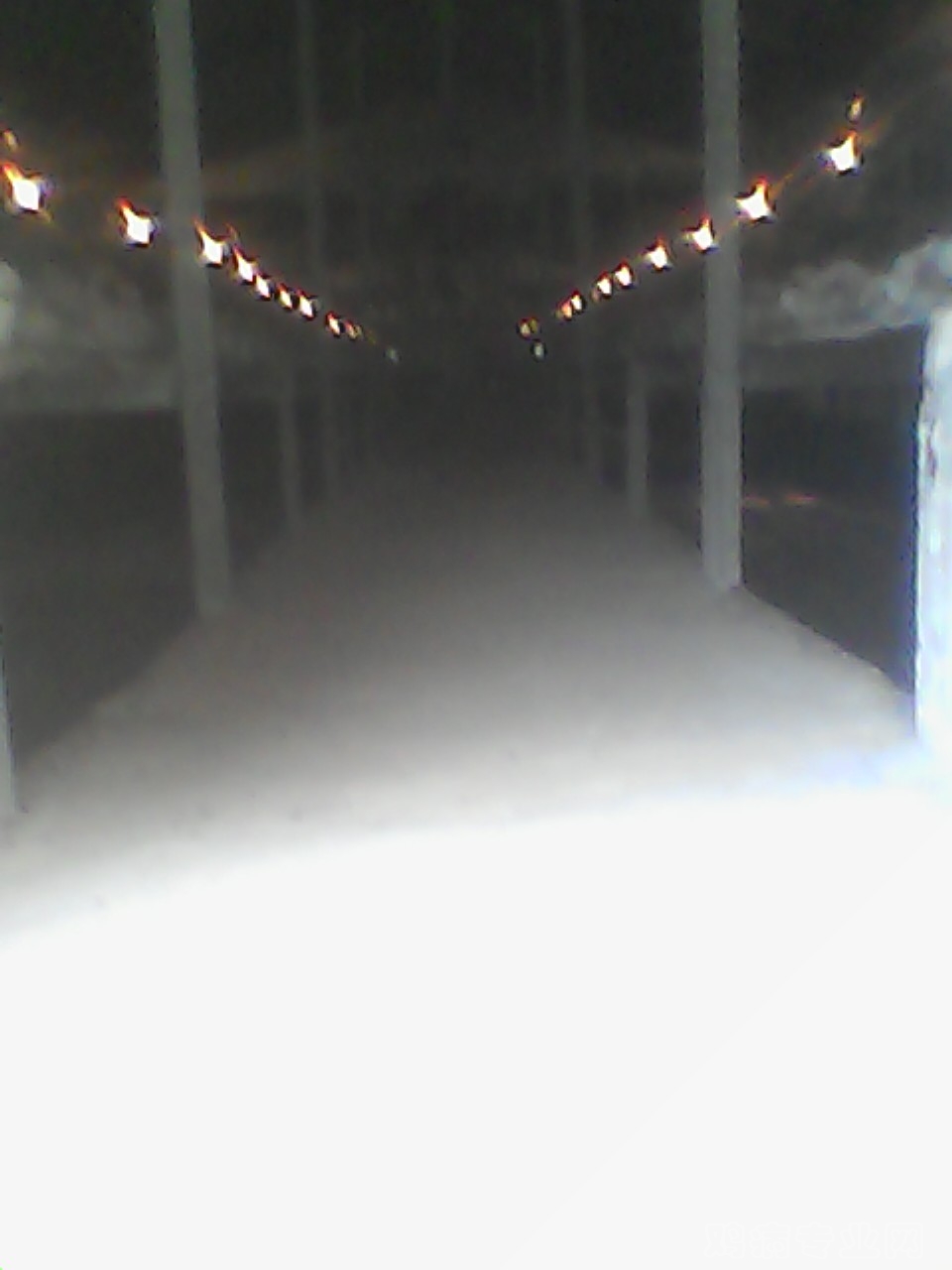 img016.jpg