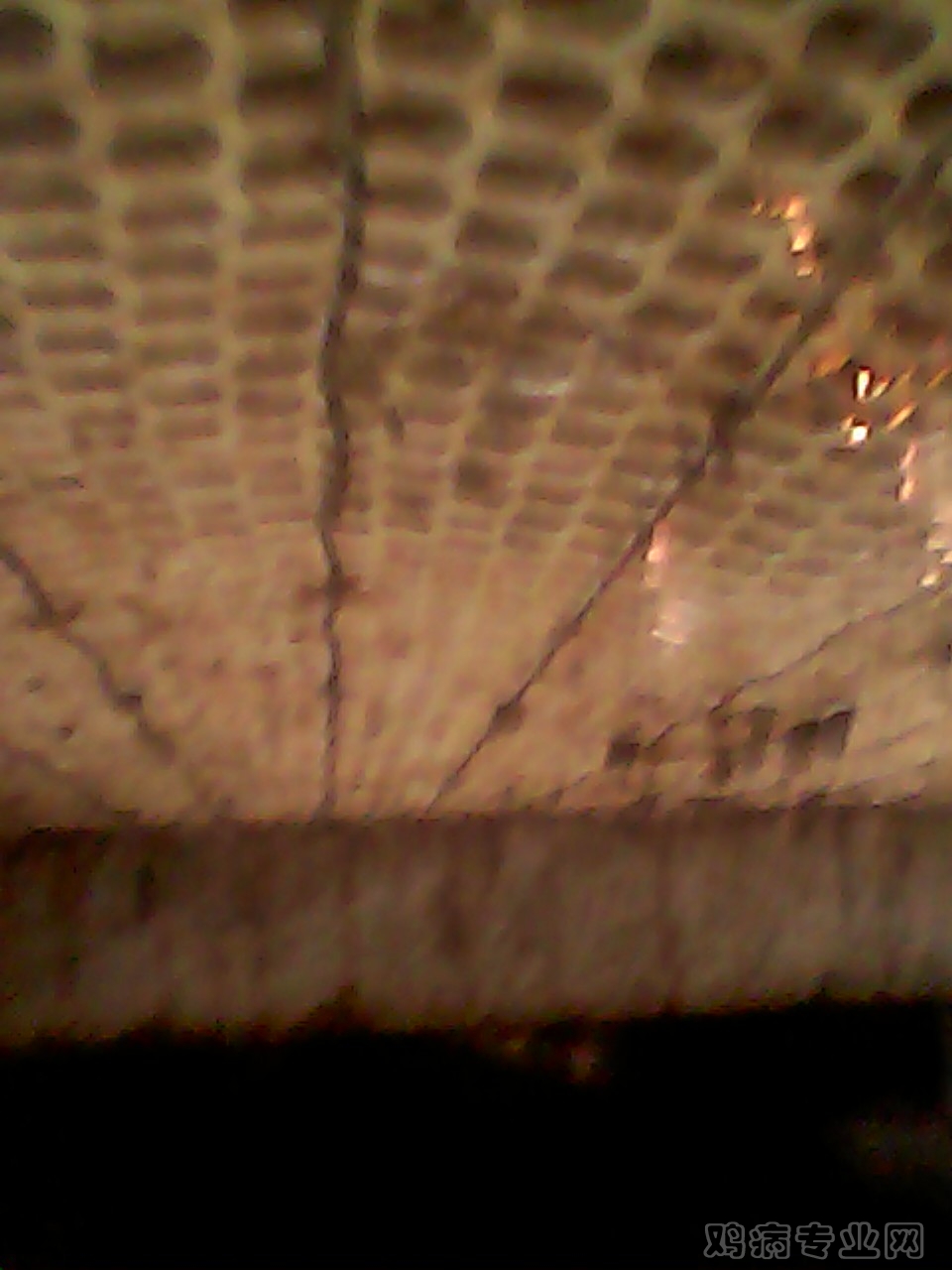 img009.jpg