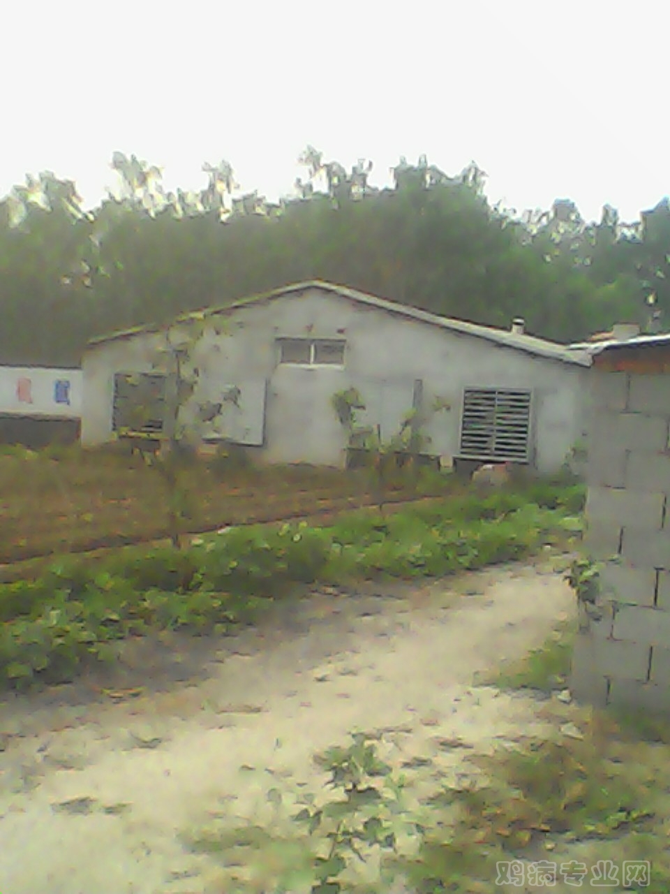 img011.jpg