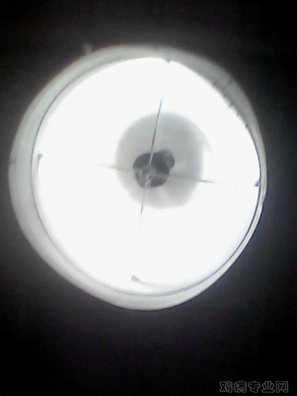 img004.jpg