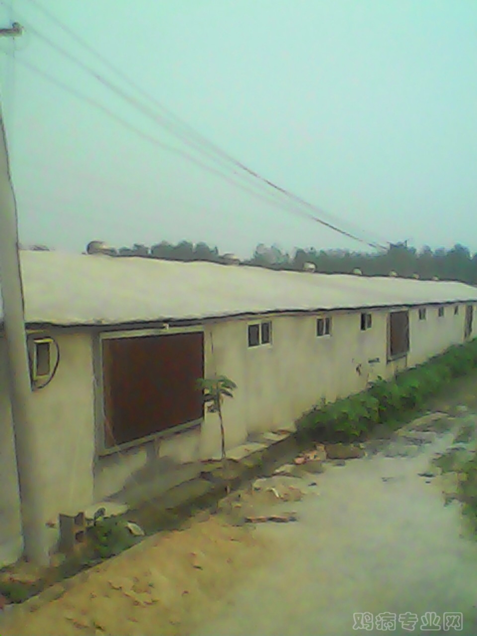 img017.jpg