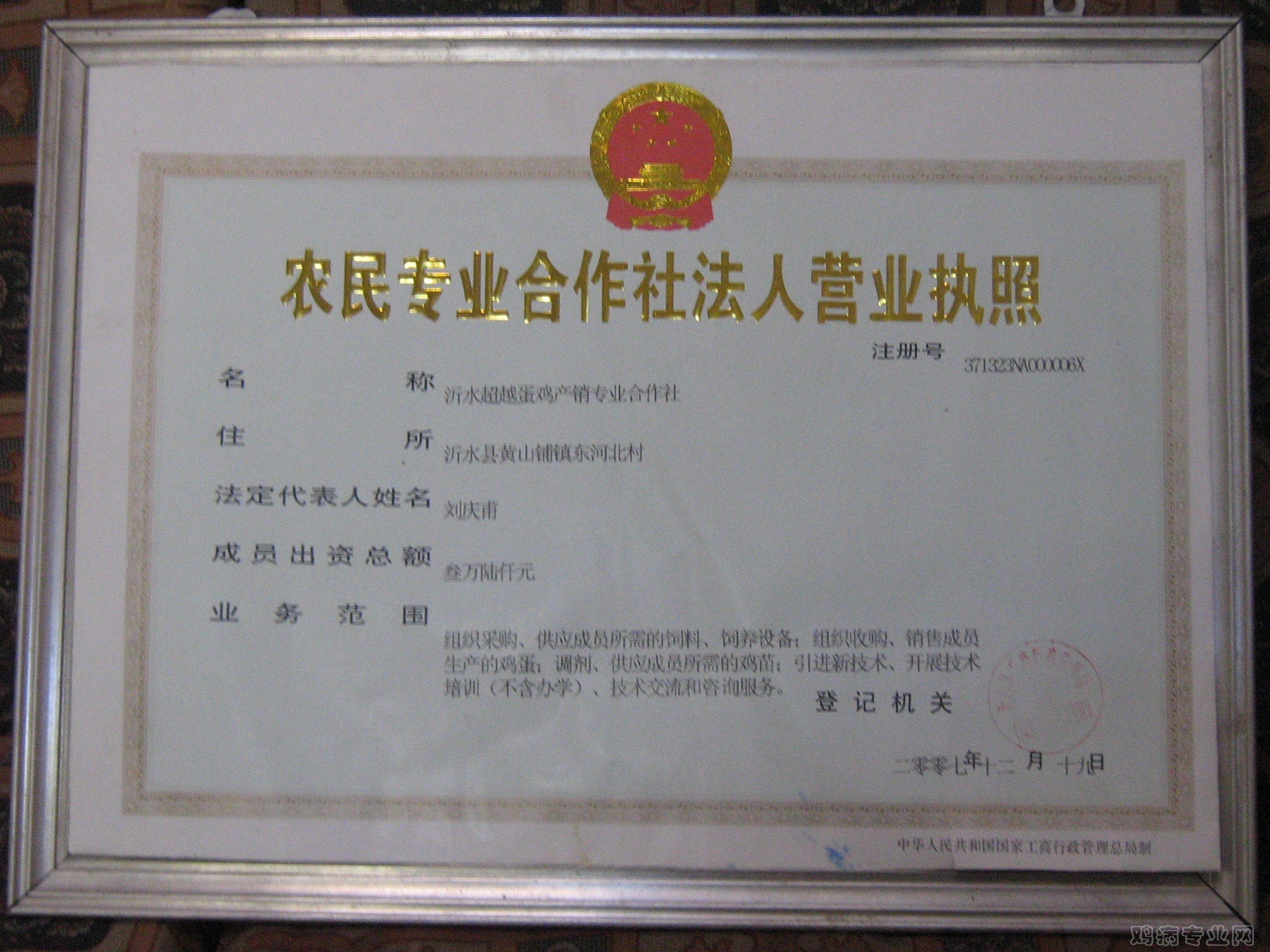 Ƭ 082.jpg