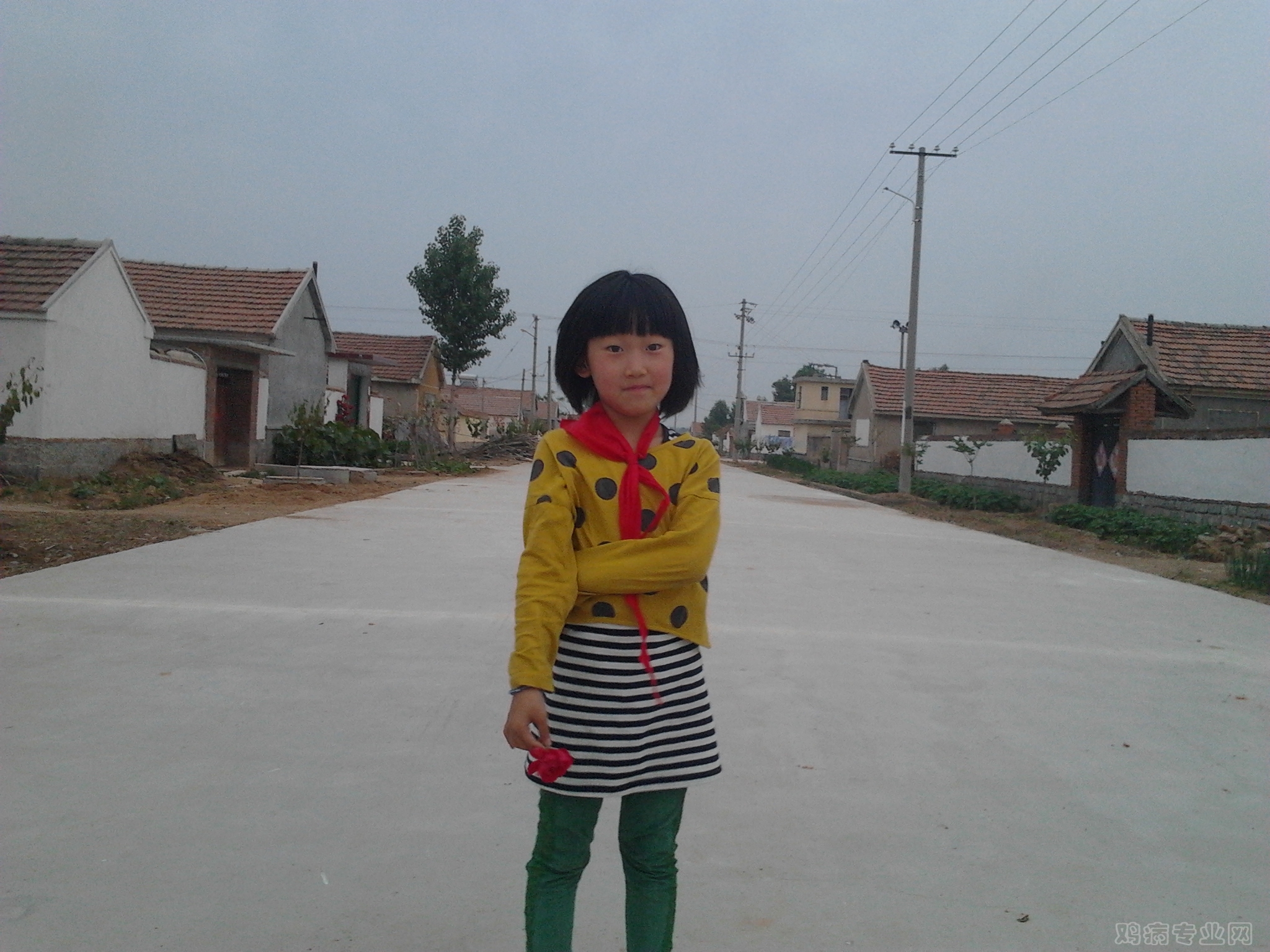 2012-05-29 18.39.00.jpg