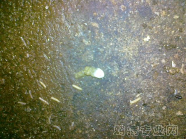 20120712623.jpg